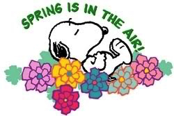 SPRING